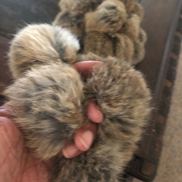 A Rabbit fur scarf! - Picture 5 of 6